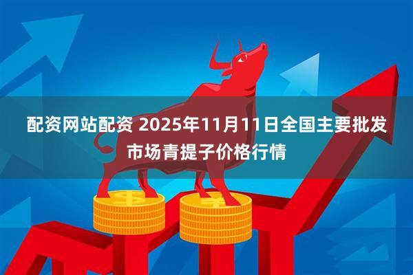 配资网站配资 2025年11月11日全国主要批发市场青提子价格行情