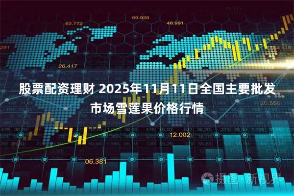 股票配资理财 2025年11月11日全国主要批发市场雪莲果价格行情